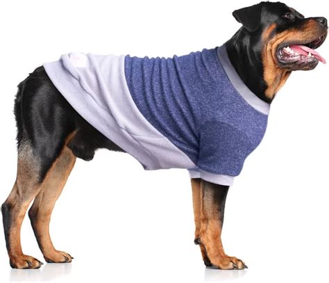 rottweiler clothes